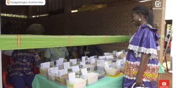 Cultiver avec efficacité et résilience