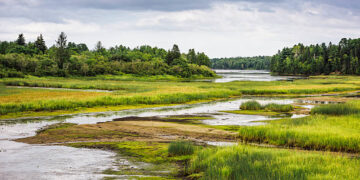 BIODIVERSITÉ/ LES ZONES HUMIDES, DES JOYAUX ÉCOLOGIQUES INDISPENSABLES POUR LA VIE DE L’HOMME
