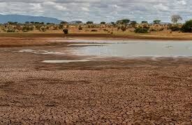GUINÉE/ENVIRONNEMENT : LA DÉSERTIFICATION, UN ENJEU ENVIRONNEMENTAL À CONSÉQUENCES MULTIPLES POUR LE PAYS…