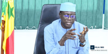 SENEGAL-ENVIRONNEMENT-MINES / Falémé : interdiction des activités minières pour une durée de trois ans (ministre)