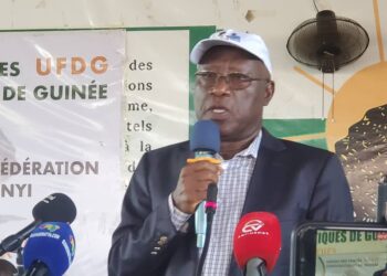 Kalémoudou Yansané:”Quand on dit que l’UFDG est sous contrôle…Ça panique”