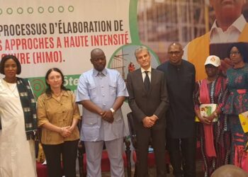 Guinée: Lancement officiel du processus d’élaboration de la stratégie nationale de promotion des approches de haute intensité de la main d’œuvre