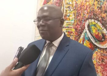 Démission de Me Mohamed Traoré du CNT:”C’est une excellente chose(…)les autres aussi doivent faire de même” dixit Dr Faya du BL