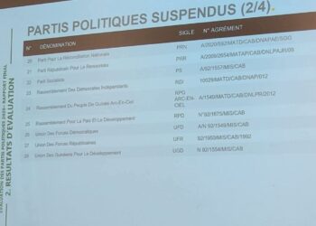 Évaluation des Partis Politiques Guinéens : Un Bilan Contrasté