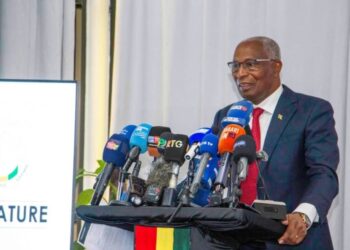 Guinée : Le Premier ministre Bah Oury donne des précisions sur le retour à l’ordre constitutionnel
