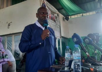 Guinée : Tensions internes à l’UFDG après la sortie controversée du fédéral de Kankan