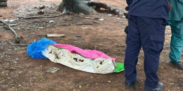 Tragédie à Bellevue-École : deux adolescents retrouvés noyés sur le littoral