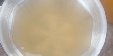 Conakry : la qualité douteuse de l’eau de robinet suscite l’inquiétude des habitants