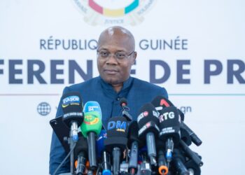 Ousmane Gaoual Diallo : « Toutes les élections seront financées par l’État »