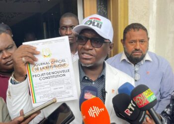 Guillaume Hawing vante les innovations du projet de nouvelle Constitution en Guinée