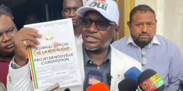 Guillaume Hawing vante les innovations du projet de nouvelle Constitution en Guinée