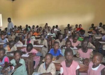 Fermeture exceptionnelle des écoles en Guinée ce 5 novembre ( les raisons)