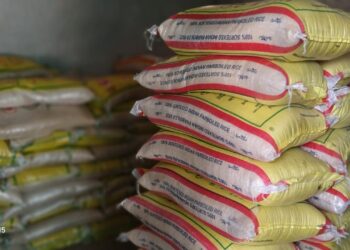 Kindia : l’érudit Elhadj Abdoul Wakil fait don de 244 sacs de riz aux imams et muezzins