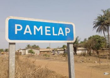 Incident survenu à la frontière Guinée-Sierra Léone, le 22 février 2026, l’Etat-Major Général des Armées communique