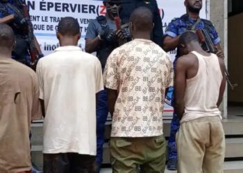 Lutte contre le crime organisé : quatre suspects interpellés et présentés à la presse