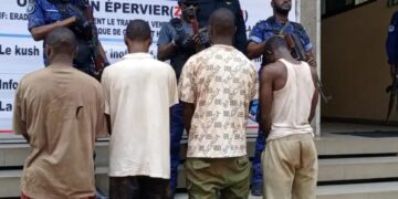Lutte contre le crime organisé : quatre suspects interpellés et présentés à la presse